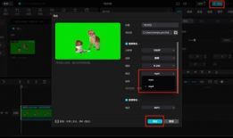 视频的格式,揭秘[视频格式]的精彩世界