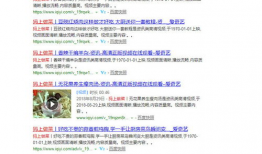 500道家常菜视频,一网打尽家庭餐桌美味